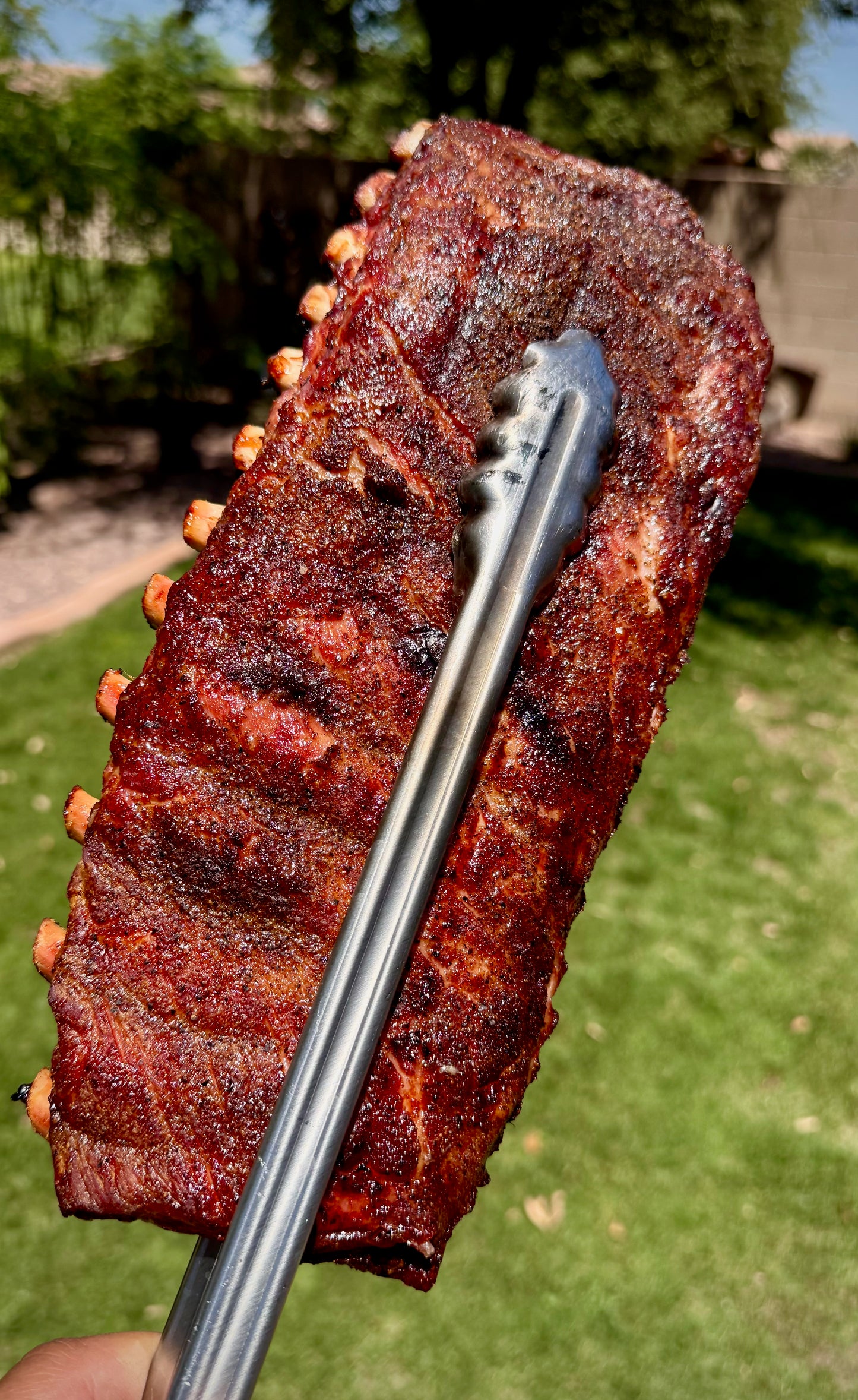 Barbecue spareribs 